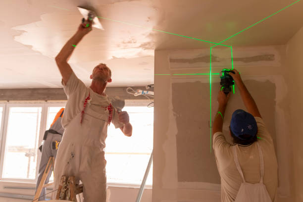 Best Drywall Sanding and Smoothing  in Wake Forest, NC