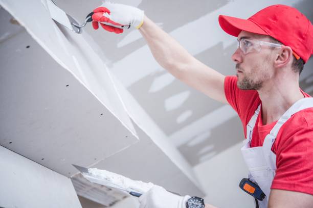 Best Drywall Installation  in Wake Forest, NC